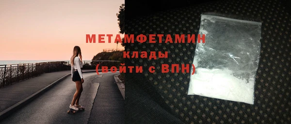 прущие грибы Верхний Тагил