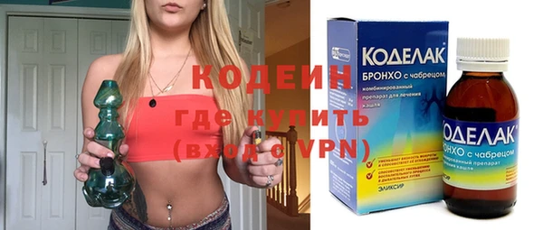 прущие грибы Верхний Тагил