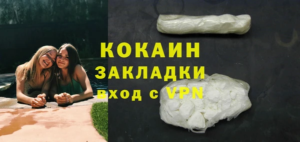 прущие грибы Верхний Тагил
