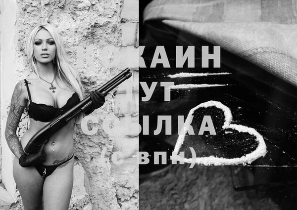 прущие грибы Верхний Тагил