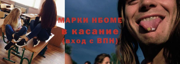 прущие грибы Верхний Тагил