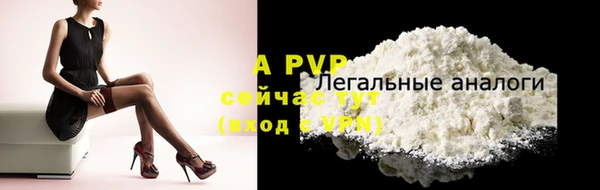 прущие грибы Верхний Тагил