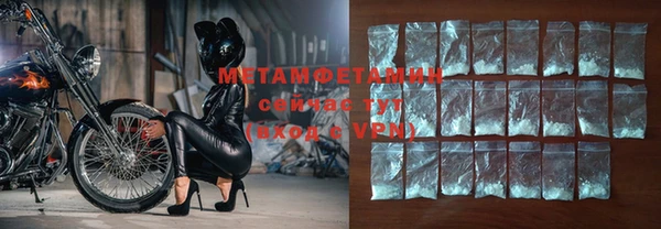 прущие грибы Верхний Тагил