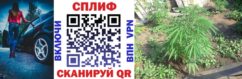 Бошки Шишки Amnesia  Горнозаводск 